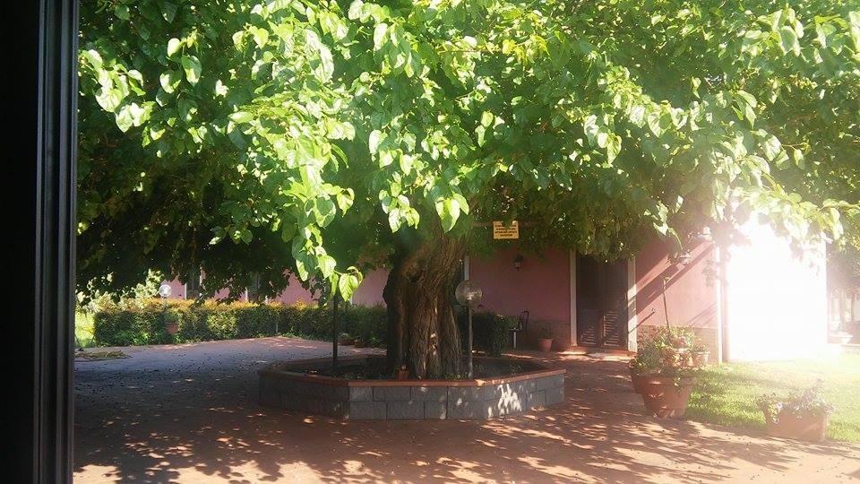 Agriturismo Il Pozzo Antico Маскали Екстериор снимка