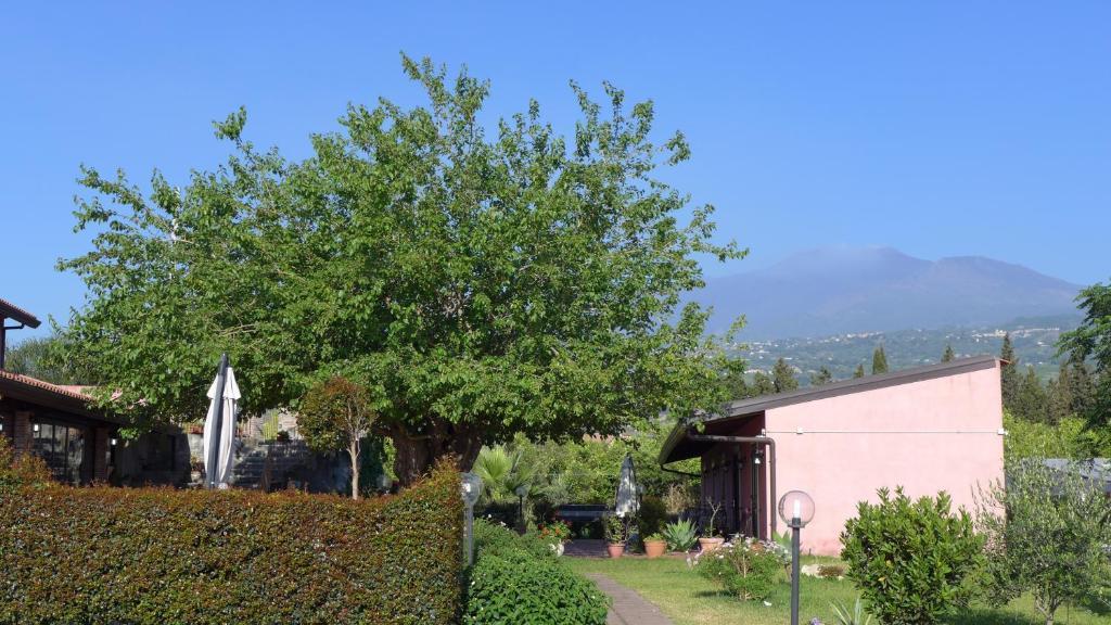 Agriturismo Il Pozzo Antico Маскали Екстериор снимка