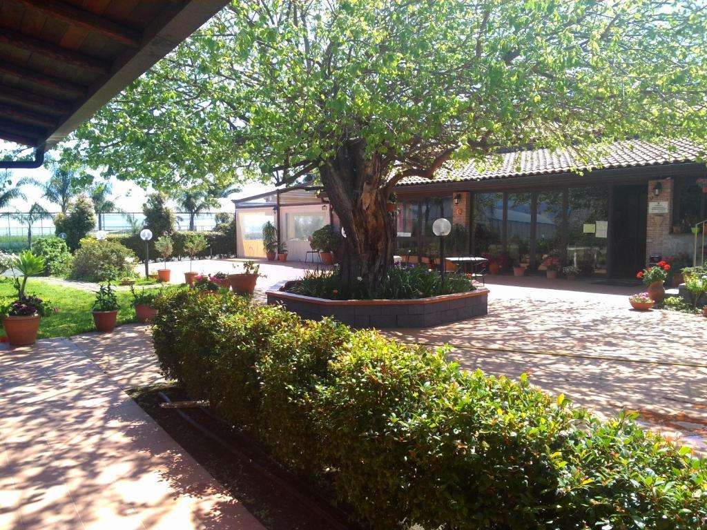 Agriturismo Il Pozzo Antico Маскали Екстериор снимка